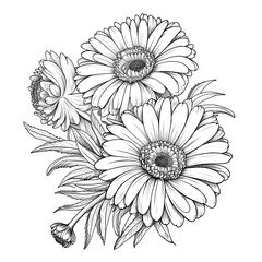 Cute Gerbera flower in coloring page style illustration. Line art painting. Generative AI