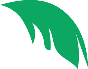 abstract green leaf