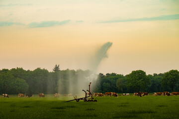 Fototapeta na wymiar sprinklers during the summer in the netherlands