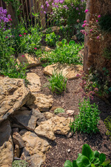 Fototapeta premium Beautiful landscaped natural garden with plants, succulents, rocks and stones.