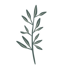  Hand-draw leaves in gouache digital illustration style
