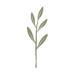  Hand-draw leaves in gouache digital illustration style