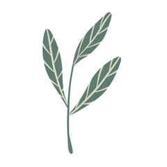  Hand-draw leaves in gouache digital illustration style