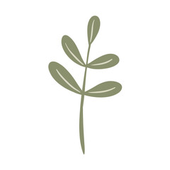  Hand-draw leaves in gouache digital illustration style
