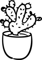 Cactus plants succulent nature