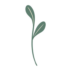  Hand-draw leaves in gouache digital illustration style
