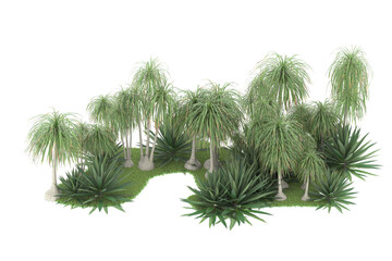 Tropical forest isolated on transparent background. 3d rendering - illustration