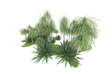 Tropical forest isolated on transparent background. 3d rendering - illustration