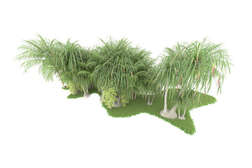 Tropical forest isolated on transparent background. 3d rendering - illustration