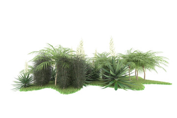 Tropical forest isolated on transparent background. 3d rendering - illustration