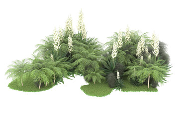 Tropical forest isolated on transparent background. 3d rendering - illustration