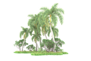 Tropical forest isolated on transparent background. 3d rendering - illustration