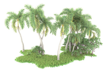 Fototapeta premium Tropical forest isolated on transparent background. 3d rendering - illustration
