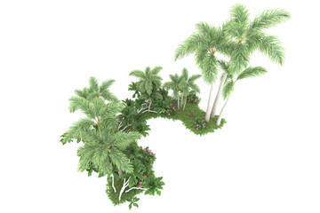 Fototapeta premium Tropical forest isolated on transparent background. 3d rendering - illustration