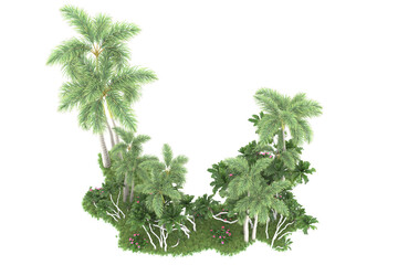 Tropical forest isolated on transparent background. 3d rendering - illustration