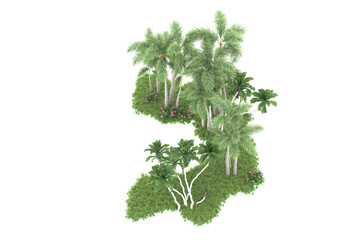 Fototapeta premium Tropical forest isolated on transparent background. 3d rendering - illustration