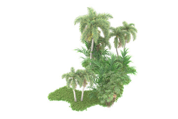 Fototapeta premium Tropical forest isolated on transparent background. 3d rendering - illustration