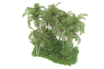 Tropical forest isolated on transparent background. 3d rendering - illustration