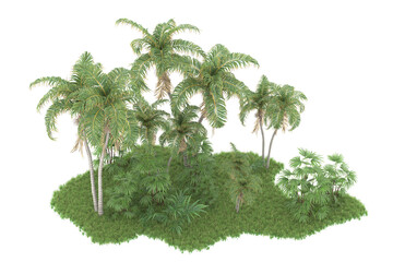 Fototapeta premium Tropical forest isolated on transparent background. 3d rendering - illustration
