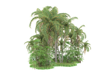 Tropical forest isolated on transparent background. 3d rendering - illustration