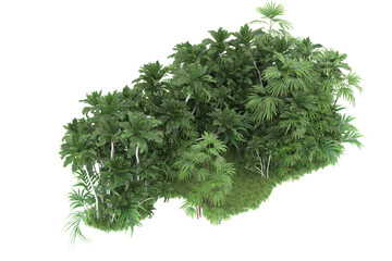 Tropical forest isolated on transparent background. 3d rendering - illustration