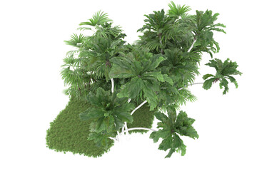 Tropical forest isolated on transparent background. 3d rendering - illustration
