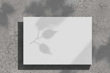 Gray background of concrete texture of cement, white cards of A4, A6 paper, business cards and flyers for the company, beauty sphere. Soft background, shadows from plants, palms.  Generative AI