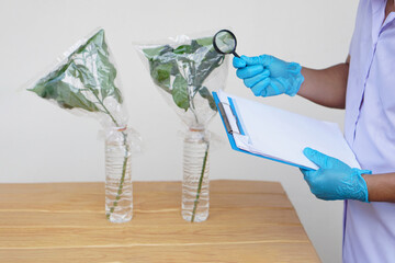 Student holds magnifying glass and paper notepad to observe the science experiment from bottle of...