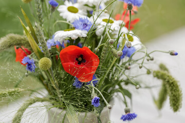 Wild flower bouquet (Cornflowers, chamomiles wheat and poppies) in terracotta vase. Wildflower and grass varieties.