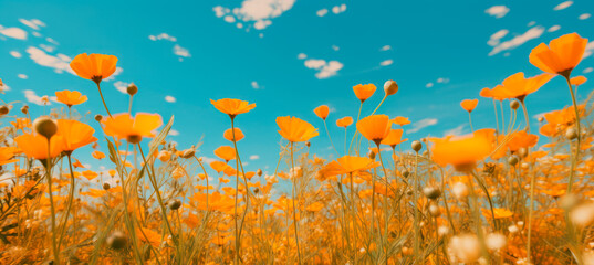 Obraz na płótnie Canvas flower, good weather, yellow, blue, clouds, generative ai