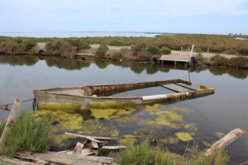 Boats cemetery at Delta de l'Ebre. Abandoned old wooden boats.