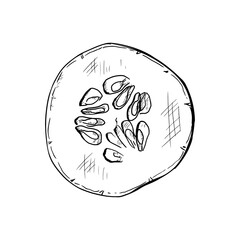 Hand-drawn vector illustration of cucumber slice. Isolated object on a white background.