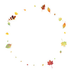 Leaves Falling Autumn Foliage Chaotic Leaf Flying