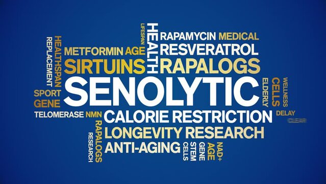 Senolytic animated tag word cloud;text design animation kinetic typography seamless loop.