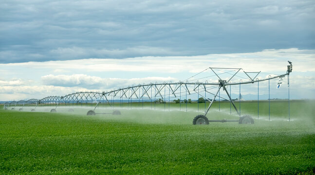 A Spray Water Irrigation System At An Agriculture Facility Farm In Lethbridge, Alberta, Canada