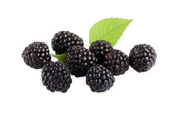 Isolated blackberries on Transparent Background, Ai