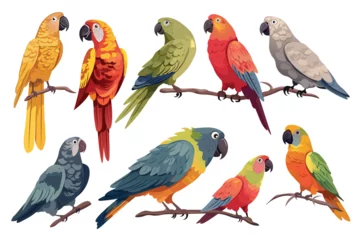 Schilderijen op glas Parrots set. Colorful cartoon illustration featuring a delightful set of flat-design parrots, creatively designed with vibrant feathers and playful expressions. Vector illustration. © Andrey