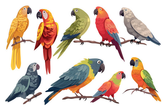 Parrots set. Colorful cartoon illustration featuring a delightful set of flat-design parrots, creatively designed with vibrant feathers and playful expressions. Vector illustration.