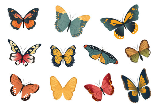 Butterfly set. Playful cartoon illustration featuring a charming set of flat-design butterflies, creatively designed with vibrant colors and intricate patterns. Vector illustration.