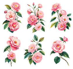 Watercolor camellia set. Generative Ai