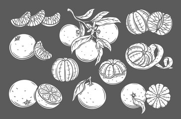 Mandarin glyph icons set vector illustration. White stamps of sweet citrus fruit collection isolated on black, silhouettes of whole tangerine branch with leaf, clementine slice, mandarin cut in half