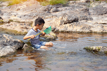 Asian boy are having fun exploring the aquatic ecosystem. The concept of learning outside the classroom, home school, natural learning resources. Soft and selective focus.