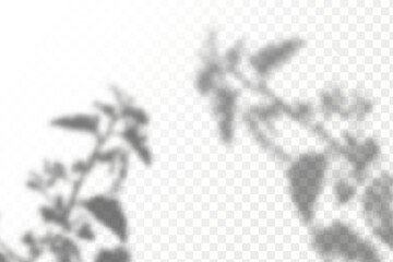 The effect of overlaying shadows. Natural light layout.Realistic shadow tropical leaves and branches on transparent checkered background.