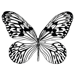 Embark on a whimsical journey with this captivating black-and-white butterfly design. Designed for coloring books, this enchanting artwork encourages children to bring butterflies to life.