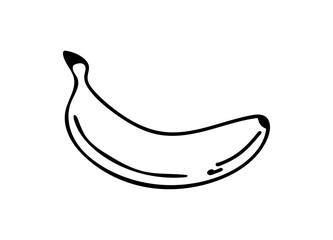 Banana in cartoon hand drawn style. Cute doodle, scribble fresh fruit. Healthy ink kid drawing. Outline tattoo or clothes print sketch (Full Vector)