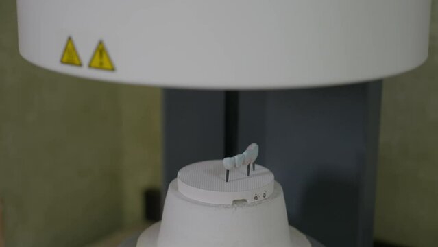 Close Up Of Artificial Teeth Processed In Press Oven Dental Laboratory Equipment. False Teeth Production By Press Oven Machine. Making Replacement Teeth In Press Oven. Stomatology. Dentistry