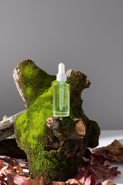 Botella de extracto de musgo, esencia con cuentagotas sobre un tronco de árbol con musgo