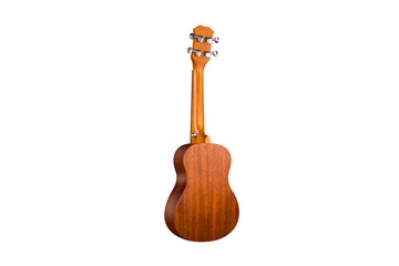 Fototapeta premium Colorful and lovely Ukri instruments