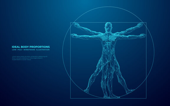 Digital Vitruvian Human. Da Vinci Anatomy Body is Made of connected dots, lines and triangles. Abstract Polygonal Wireframe Vector Illustration on Technological Blue Background.