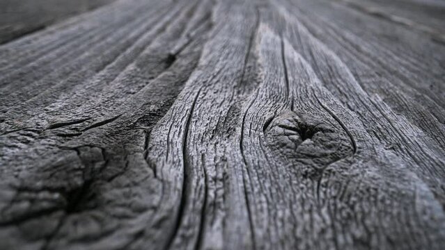Close-up wood grain of old wood texture. Naturally aged wooden boards close up macro